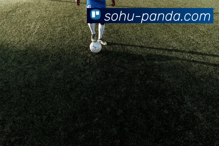 登录器